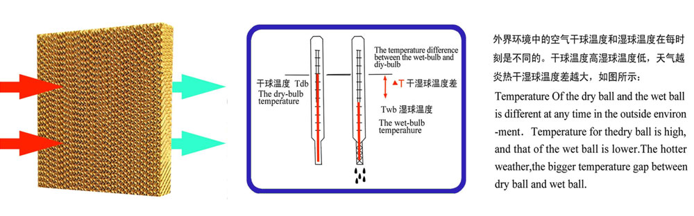 濕簾